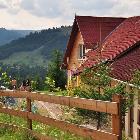 Kings Valley - Sunny Botesti Cîmpeni Pokój zdjęcie