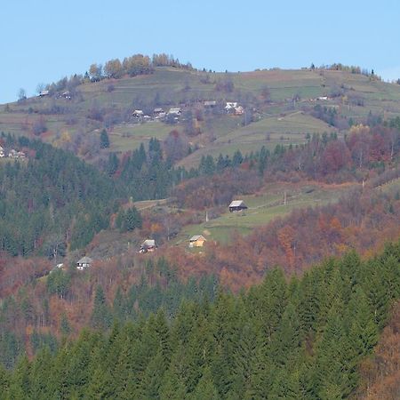 Kings Valley - Sunny Botesti Cîmpeni Zewnętrze zdjęcie