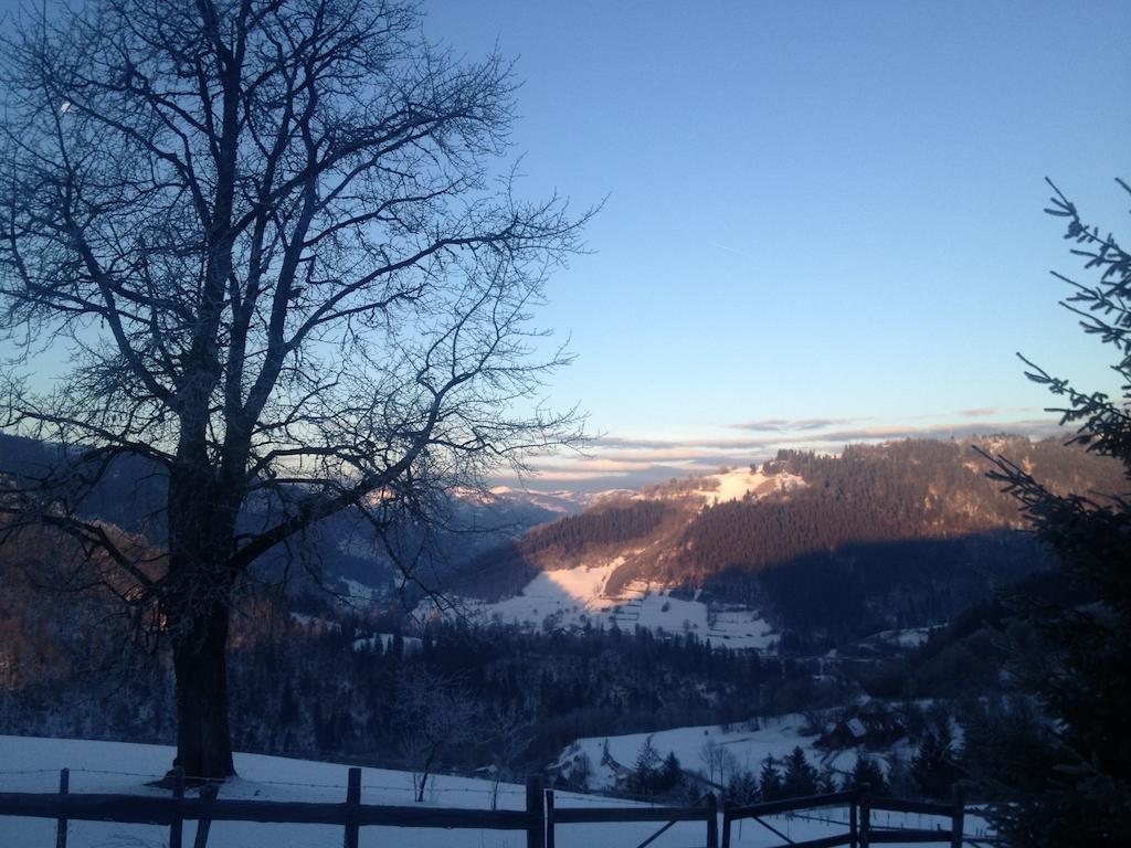 Kings Valley - Sunny Botesti Cîmpeni Zewnętrze zdjęcie