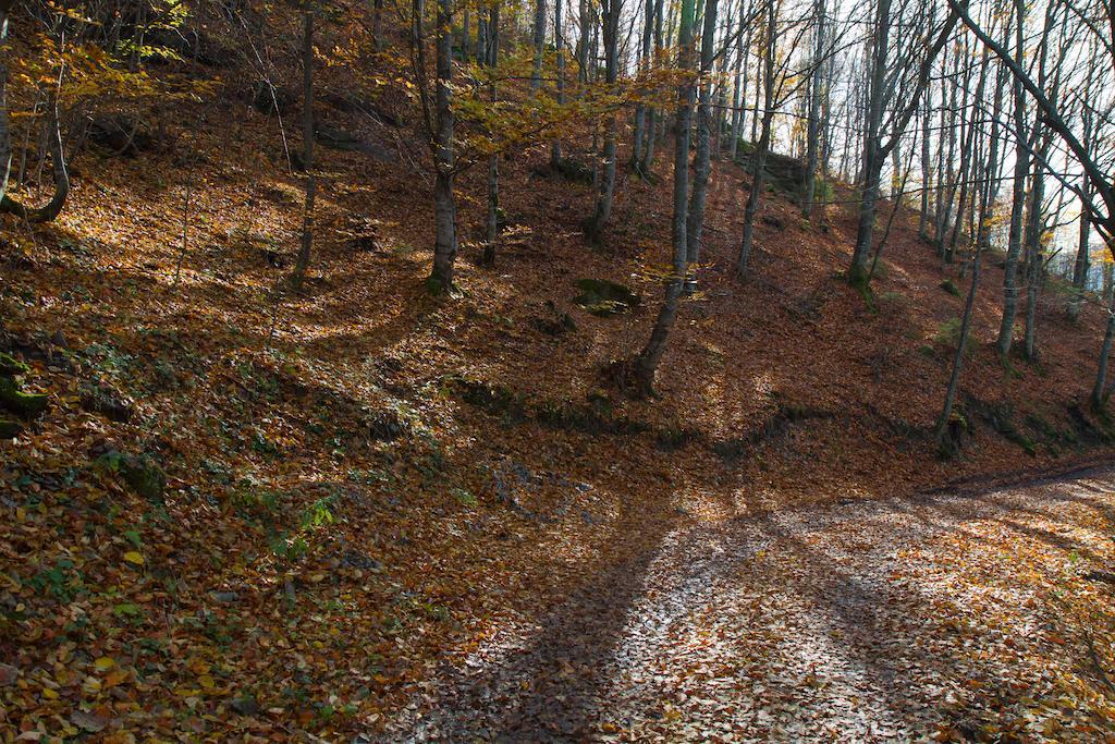 Kings Valley - Sunny Botesti Cîmpeni Zewnętrze zdjęcie