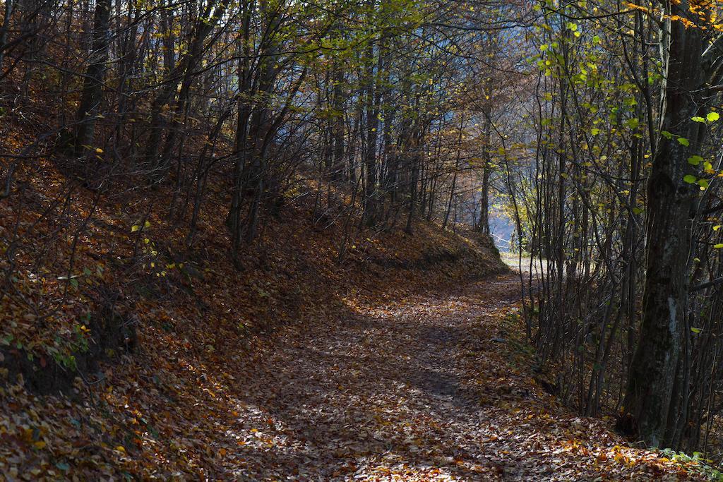 Kings Valley - Sunny Botesti Cîmpeni Zewnętrze zdjęcie