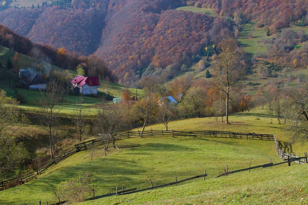 Kings Valley - Sunny Botesti Cîmpeni Zewnętrze zdjęcie
