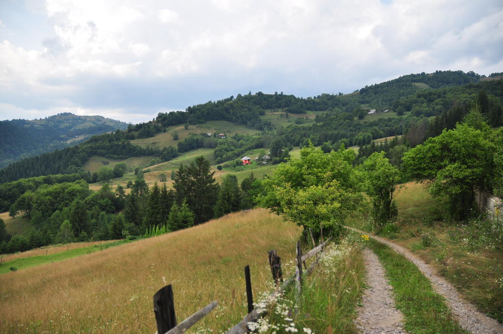 Kings Valley - Sunny Botesti Cîmpeni Zewnętrze zdjęcie