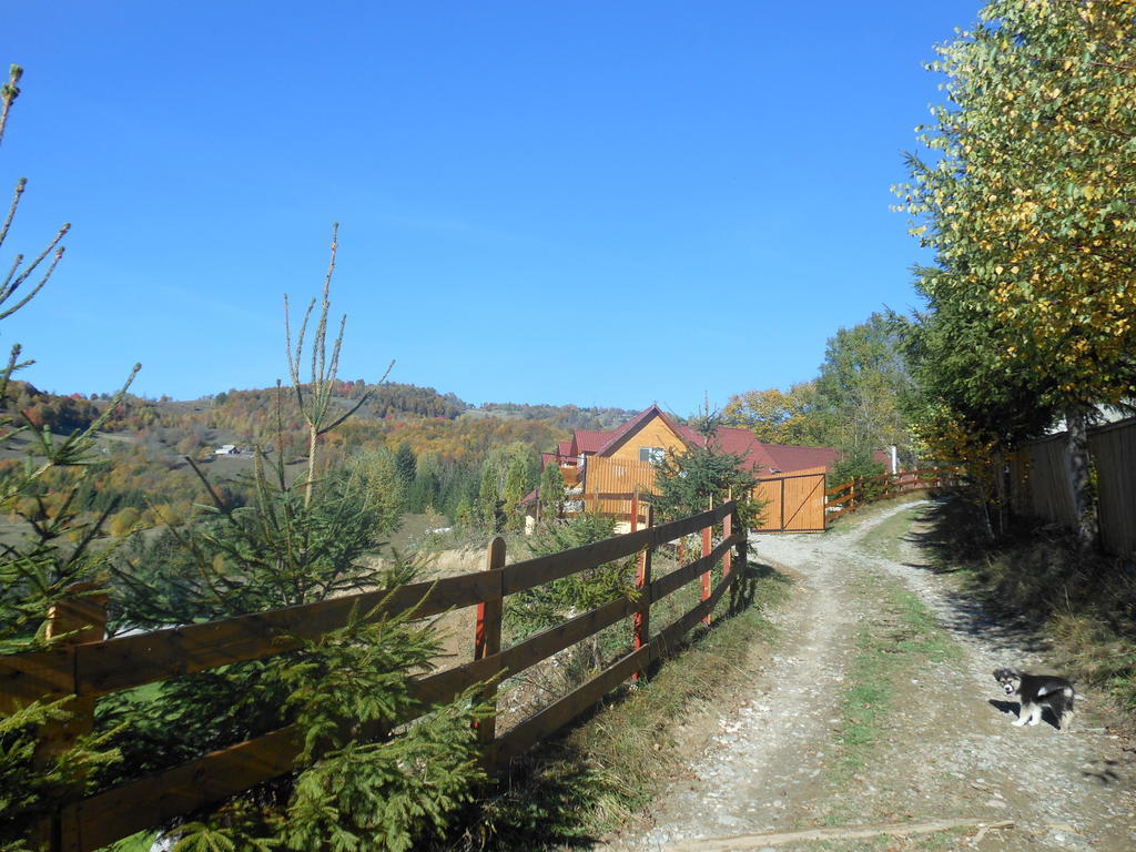 Kings Valley - Sunny Botesti Cîmpeni Zewnętrze zdjęcie