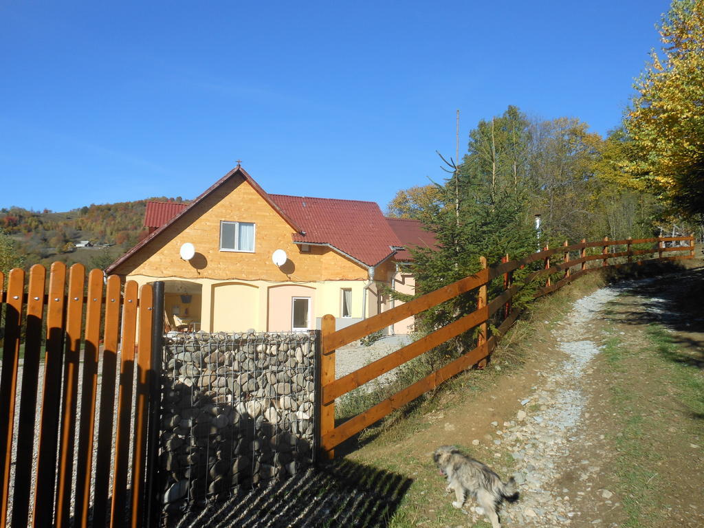 Kings Valley - Sunny Botesti Cîmpeni Zewnętrze zdjęcie