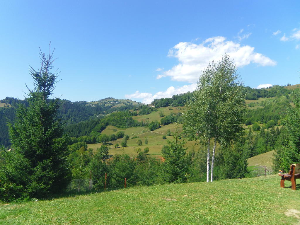 Kings Valley - Sunny Botesti Cîmpeni Zewnętrze zdjęcie