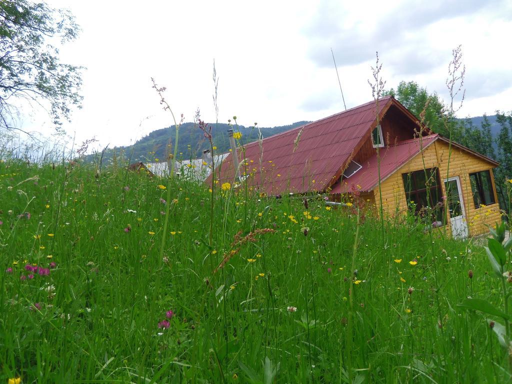 Kings Valley - Sunny Botesti Cîmpeni Zewnętrze zdjęcie