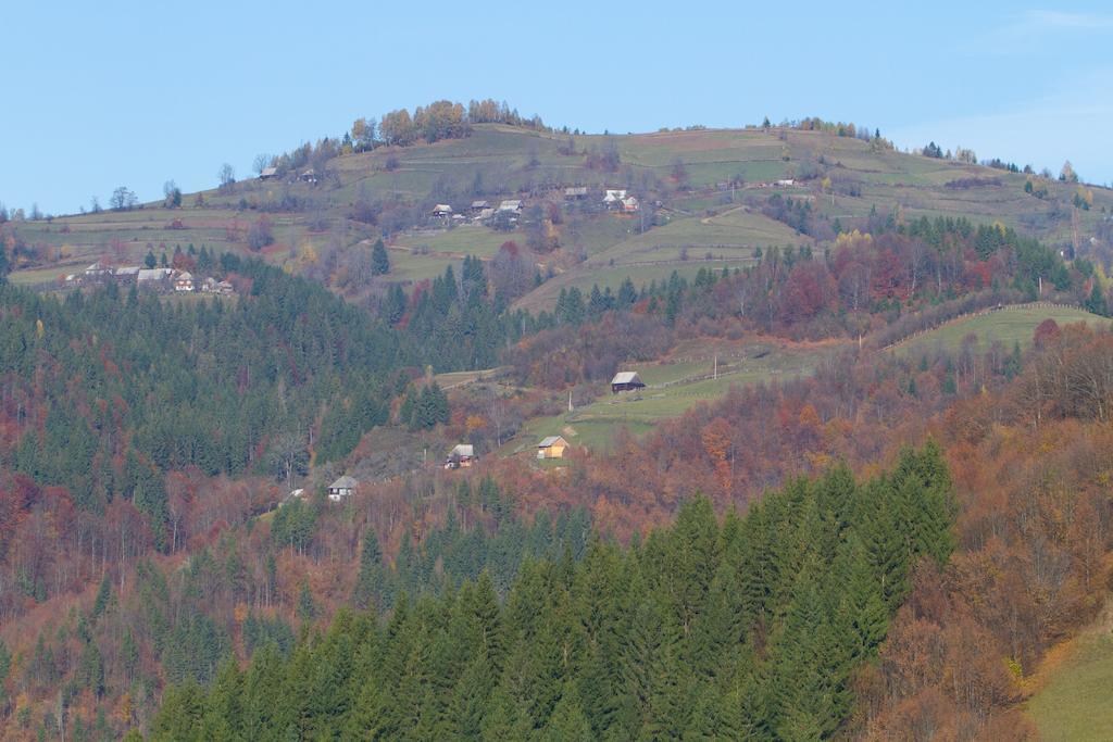Kings Valley - Sunny Botesti Cîmpeni Zewnętrze zdjęcie